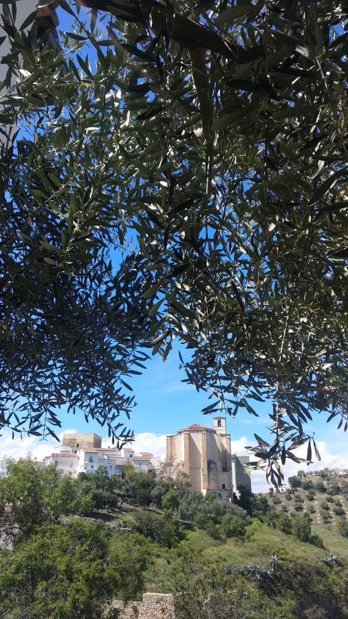 Apartamento El Carmen Setenil De Las Bodegas Εξωτερικό φωτογραφία