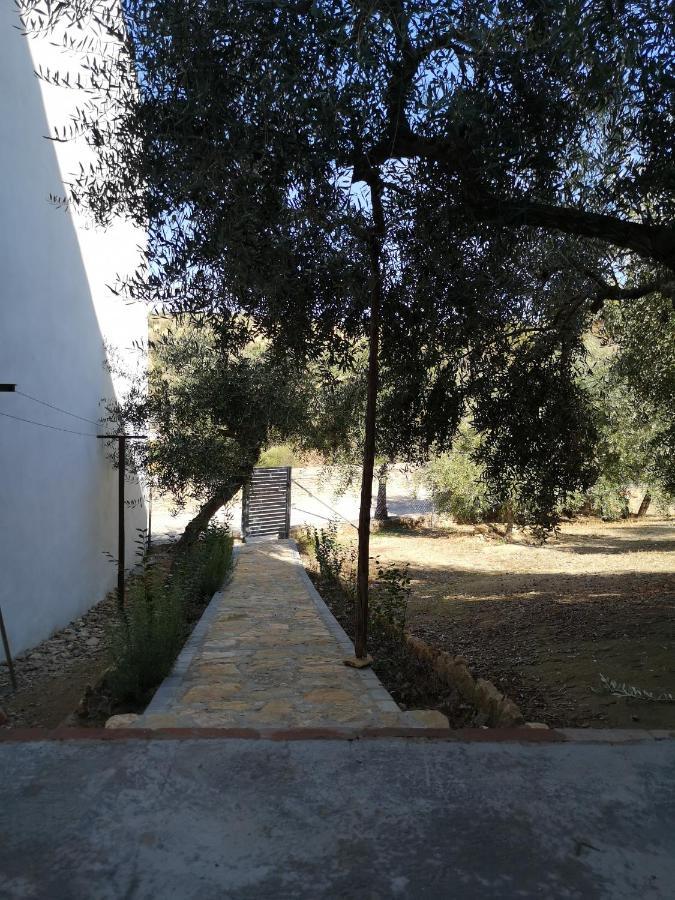 Apartamento El Carmen Setenil De Las Bodegas Εξωτερικό φωτογραφία